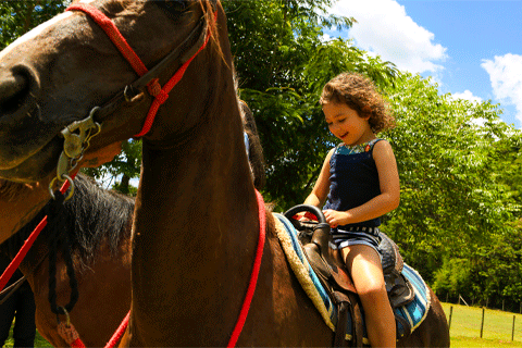 Passeio-a-cavalo